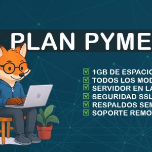 PLAN PYME -SISTEMA INTEGRAL