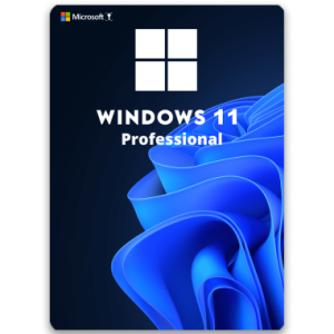 Windows 11 Professional